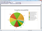 Das Diagramm "TOP 10 Largest Groups" in dem Bericht "Object Group Membership"