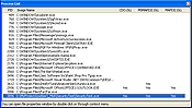 Process List window