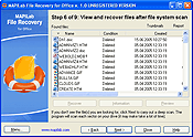 The dialog "View and recover files after file system scan" allows you to preview the files before restoring them.