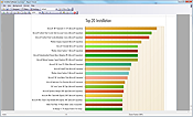 Das Diagramm "TOP 20 software installation" in dem Bericht "Installed Software"
