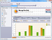 MAPILab Reports 2008 Designer