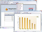 MAPILab Reports 2008 Report Viewer